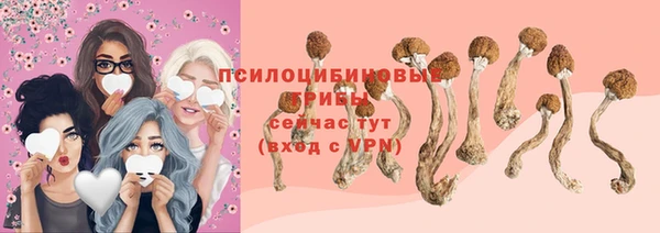 тгк Баксан